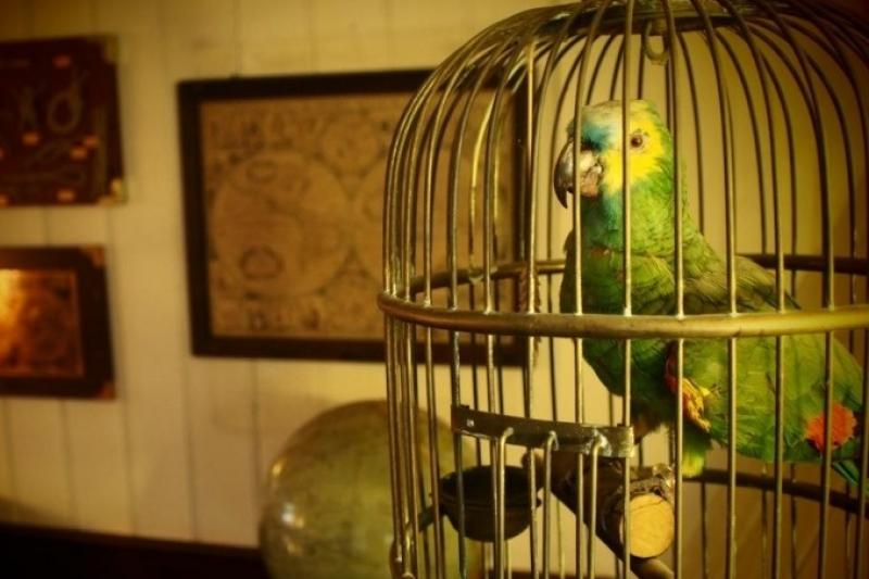 Escape Room im Hamburger Hafen auf historischen Schiffen