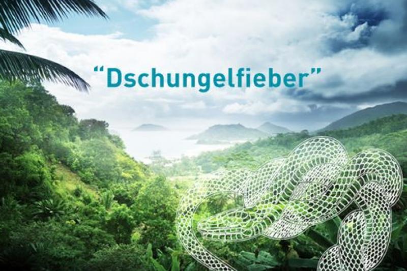 FREXIT - Escape Rooms