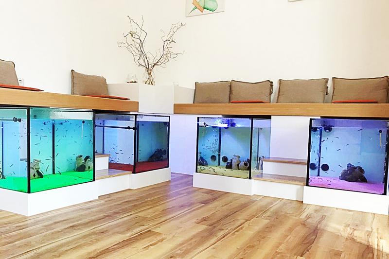 JGA, einfach unvergesslich!