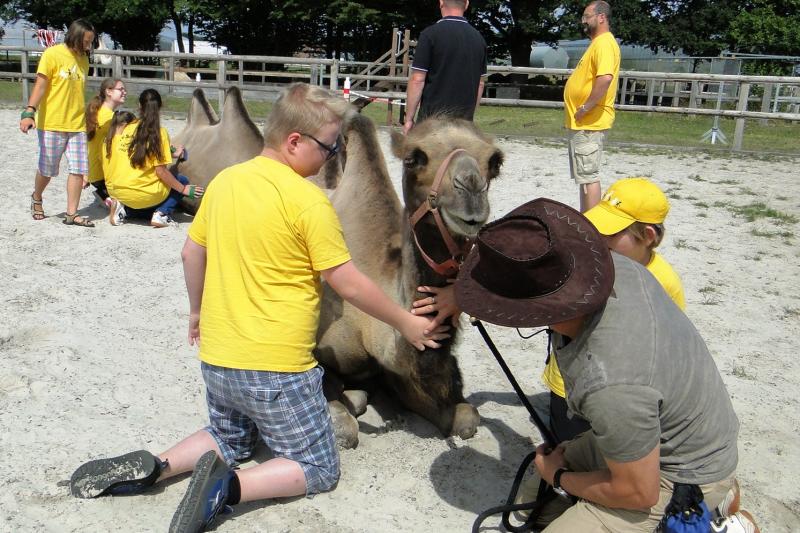 Junggesellenabschied auf der Kamelfarm